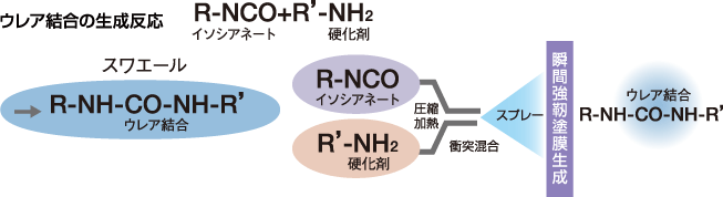 ウレア結合